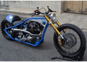 photo HARLEY DAVIDSON PROJECT SOFTAIL