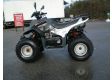 moto DINLI T REX