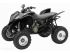 moto HONDA TRX NEUF HOMOLOGUE 2 PLACES PAOLETTI RACING
