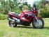 moto SUZUKI GSX F