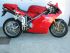 moto occasion DUCATI 998 SUPERBIKE S FE BIPOSTO