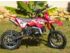 moto MINIBIKE APPOLO MOTORS